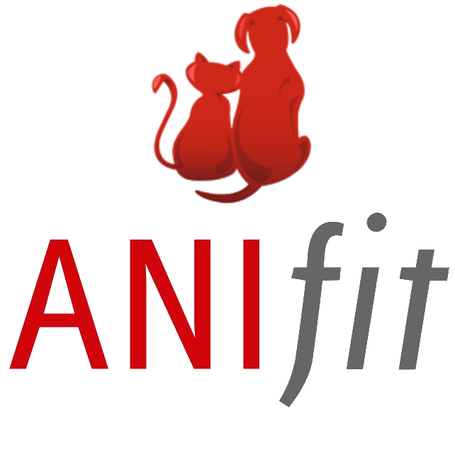 Anifit logo